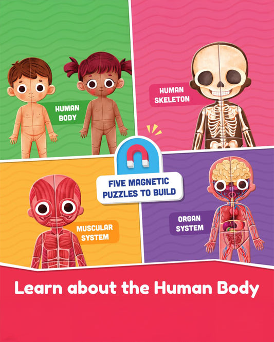 Bloomingo Human Body Puzzle-Includes 90 Pieces-Learning & Educational Toys-5Y+