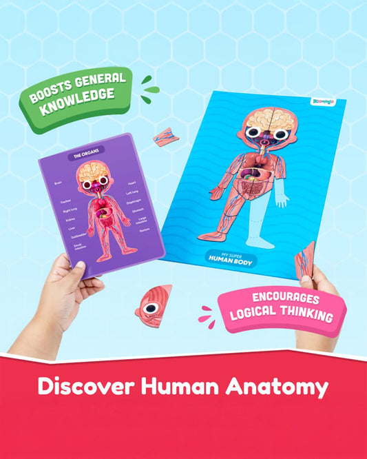 Bloomingo Human Body Puzzle-Includes 90 Pieces-Learning & Educational Toys-5Y+