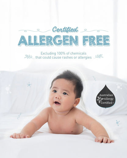 Windmill Baby Natural Bottle And Dish Wash-Infant Safe, USDA Certified-Refill Pack