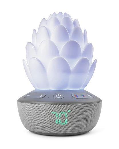 Skip Hop Terra Cry-Activated Soother Sleep Trainer & Nightlight-For a Calm Sleep-Succulent