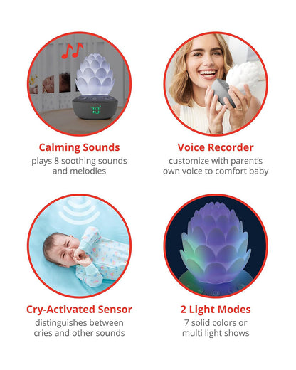 Skip Hop Terra Cry-Activated Soother Sleep Trainer & Nightlight-For a Calm Sleep-Succulent