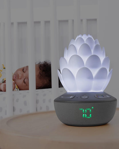 Skip Hop Terra Cry-Activated Soother Sleep Trainer & Nightlight-For a Calm Sleep-Succulent