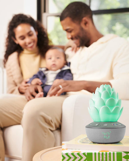 Skip Hop Terra Cry-Activated Soother Sleep Trainer & Nightlight-For a Calm Sleep-Succulent