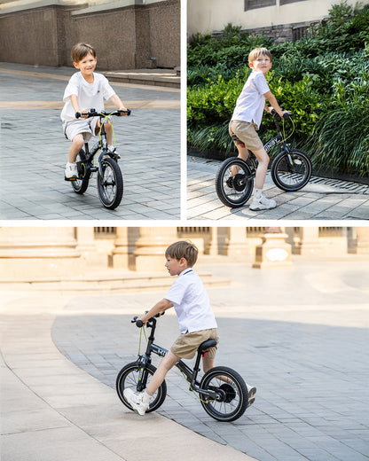 Qplay Miniby 3 in 1 Bike (14 Inch)-Balance Bike, Bicycle with Training Wheel Mode & Bicycle Mode-Adjustable Handlebar & Seat Height-Steering Limiter For Additional Safety-For 2.5 to 8Y-Green