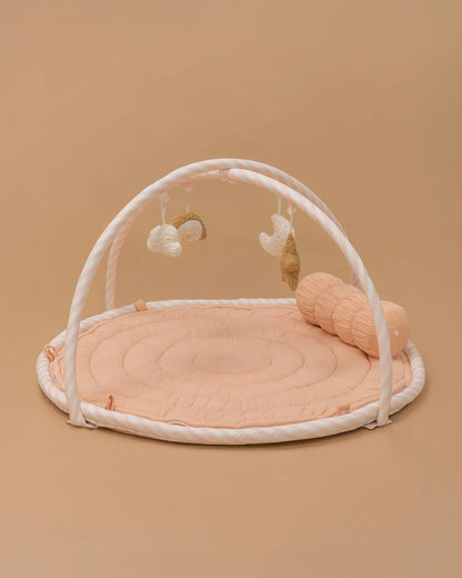 Baby Jalebi The Complete Dream Team Island Playmat & Playgym With Bumper Set-Pink-Perfect For Tummy Time-0M+
