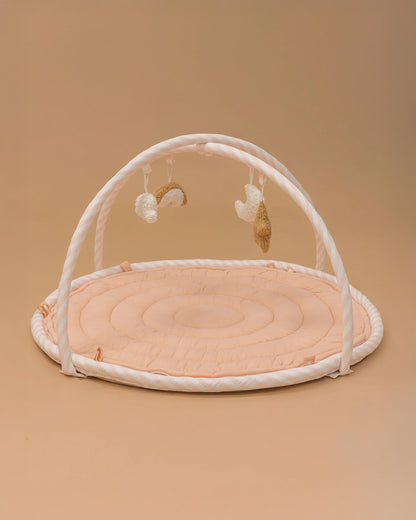Baby Jalebi The Complete Dream Team Island Playmat & Playgym With Bumper Set-Pink-Perfect For Tummy Time-0M+