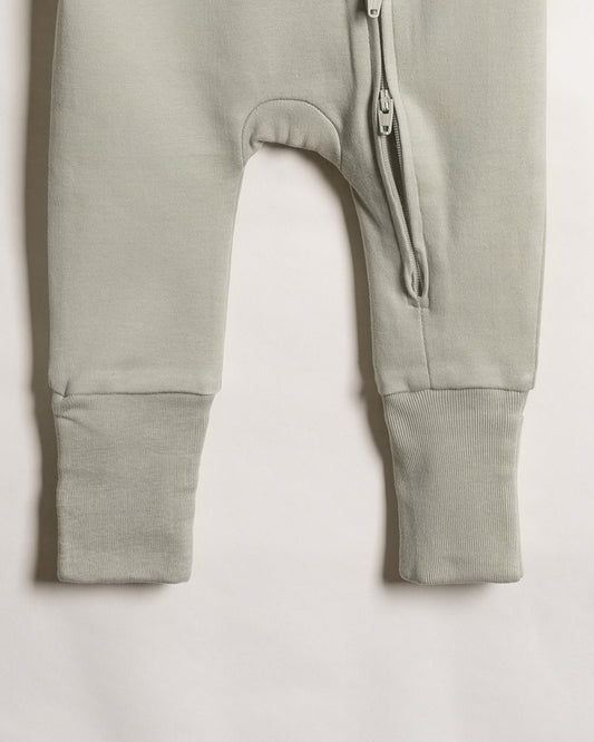 Twingle 100% Organic Cotton Baby Zipsuits-Sleepsuits-Two Way Zipper-Inbuilt Booties & Mittens-Sage Green & Light Blue-Solid-Pack of 2-For Infants