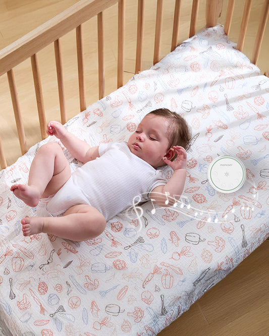 Momcozy Portable Baby Sound Machine-With 20 Soothing Sounds & Dimmable Touch Lamp-White Noise Machine For Baby's Sound Sleep-0M+