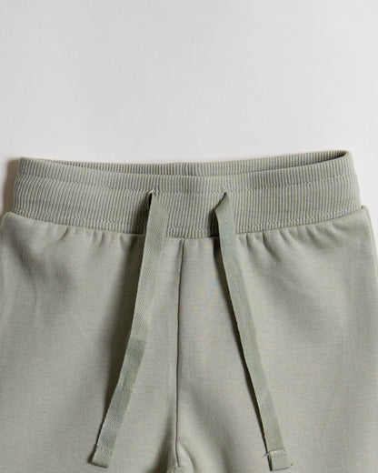 Twingle 100% Organic Cotton Sweatshirt & Joggers Set-Adjustable Waistband-Tag-Free Design-Sage Green-Solid-For Infants