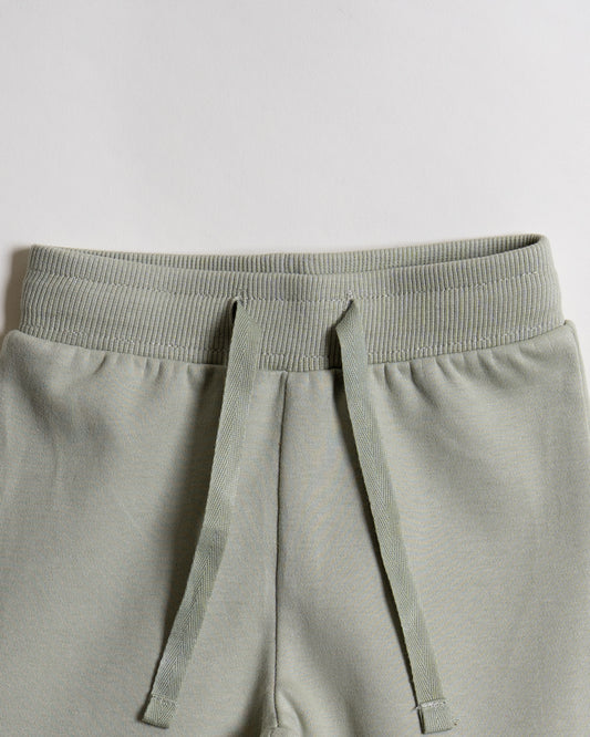 Twingle 100% Organic Cotton Sweatshirt & Joggers Set-Adjustable Waistband-Tag-Free Design-Sage Green-Solid-For Infants