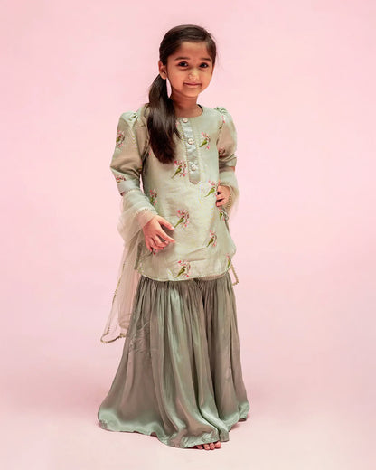 Mimosa Pastel Green Sharara Set-Embroidered-Chanderi-For Infants
