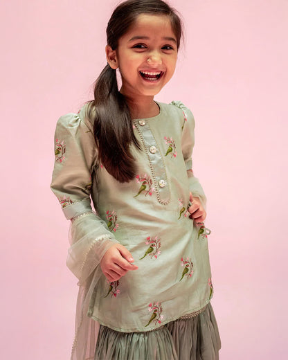 Mimosa Pastel Green Sharara Set-Embroidered-Chanderi-For Infants