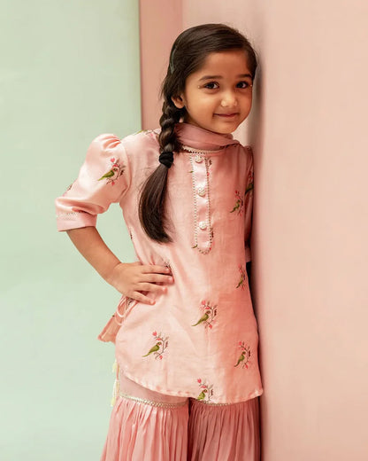 Mimosa Peach Sharara Set-Embroidered-Chanderi-For Infants