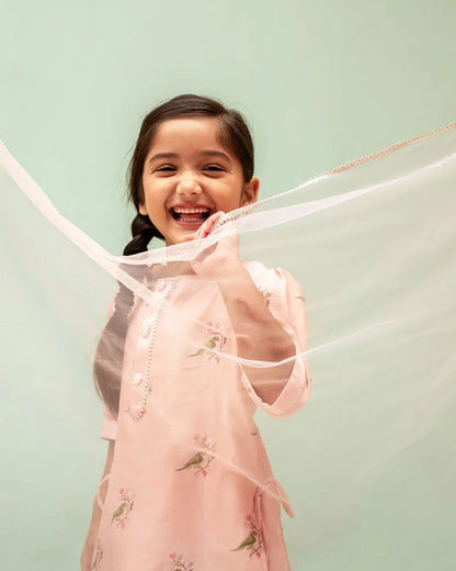 Mimosa Peach Sharara Set-Embroidered-Chanderi-For Infants
