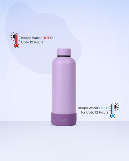 Theoni Stainless Steel Double Walled Insulated Water Bottle-24 Hours Cold & 16 Hours Hot-Playful Purple-500ml