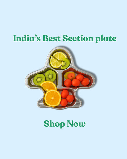 Theoni Stainless Steel Aeroplane Shape Plate-4 Compartments-BPA-Free & Dishwasher Safe-For Feeding