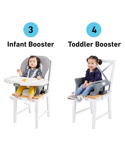 Graco Made2Grow Baby High Chair-Self Standing Fold-With 6 Growing Stages-6M to 7Y (Upto 18Kg)-Tasha