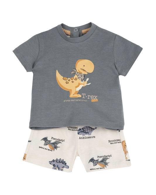 Chicco Grey T-shirt & Shorts Set-Printed-Cotton-For Infants