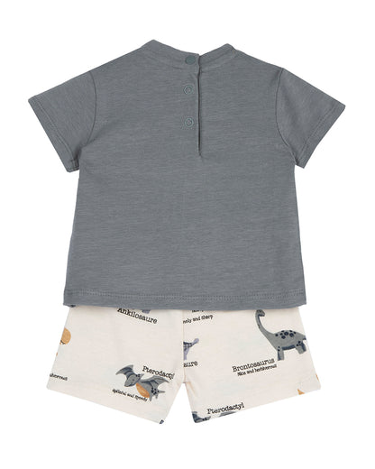 Chicco Grey T-shirt & Shorts Set-Printed-Cotton-For Infants