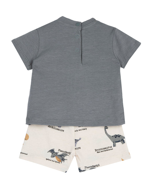 Chicco Grey T-shirt & Shorts Set-Printed-Cotton-For Infants