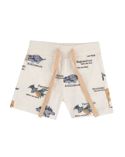 Chicco Grey T-shirt & Shorts Set-Printed-Cotton-For Infants