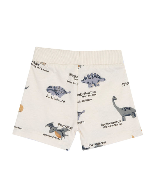 Chicco Grey T-shirt & Shorts Set-Printed-Cotton-For Infants