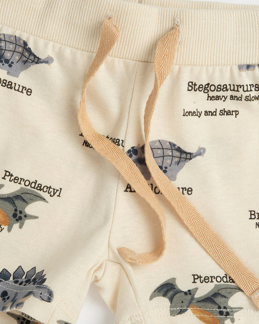 Chicco Grey T-shirt & Shorts Set-Printed-Cotton-For Infants