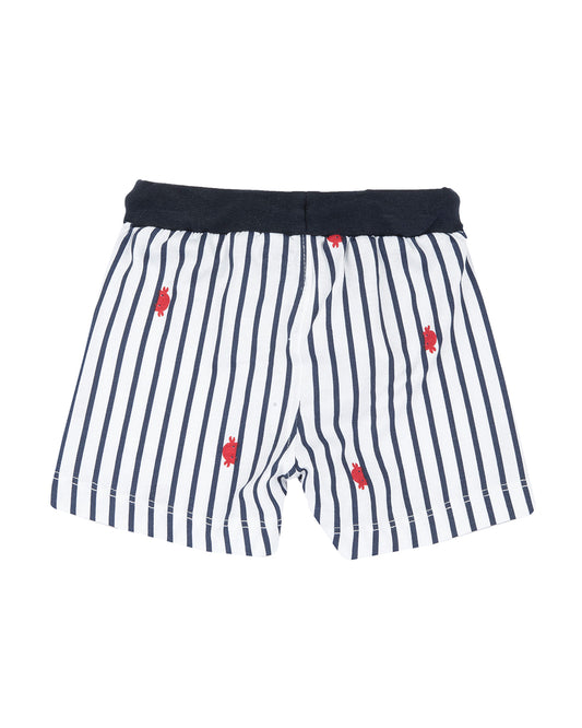 Chicco Navy Blue & White T-shirt & Shorts Set-Striped-Cotton-For Infants