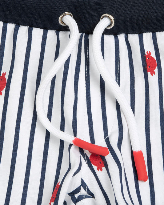 Chicco Navy Blue & White T-shirt & Shorts Set-Striped-Cotton-For Infants