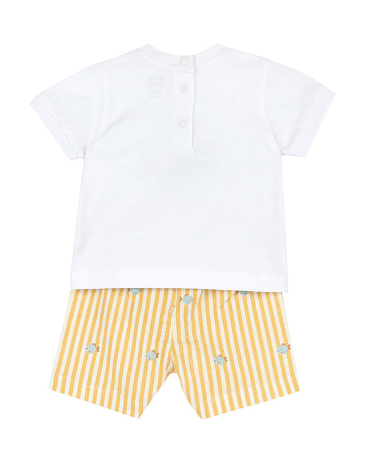 Chicco Yellow & White T-shirt & Shorts Set-Striped-Cotton-For Infants