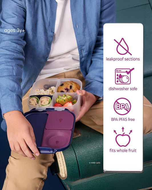 b.box Harry Potter Mini Lunchbox-Flexi Fruit Holder-Adjustable Divider-1000ml-36M+