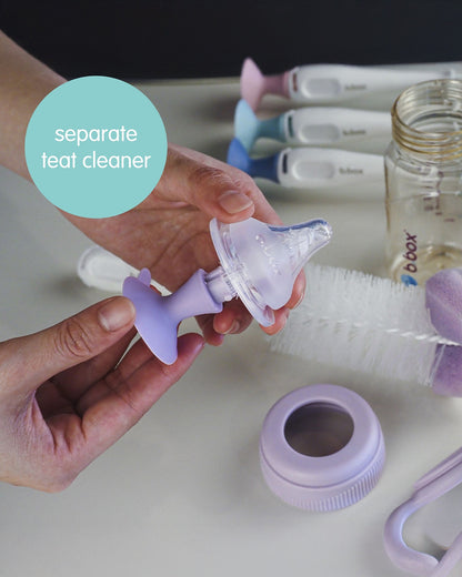b.box 2-in-1 Bottle & Nipple Cleaning Brush-Comes with Separate Teat Cleaner-Soft Bristles For Scratch Free Clean-Blush