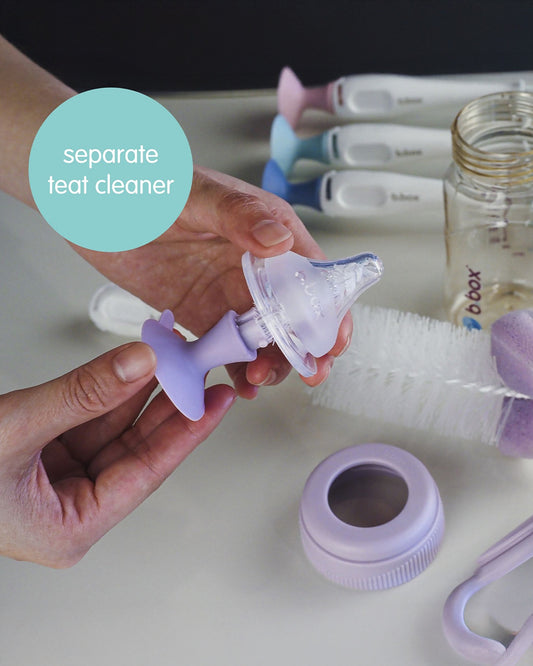 b.box 2-in-1 Bottle & Nipple Cleaning Brush-Comes with Separate Teat Cleaner-Soft Bristles For Scratch Free Clean-Blush