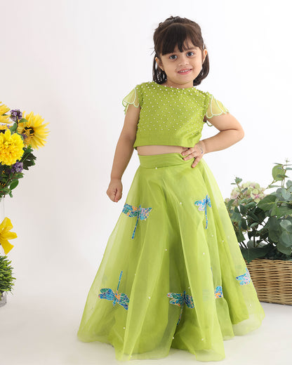 La Dee Da Green Lehenga Choli-Dragonflies-Organza-For Infants