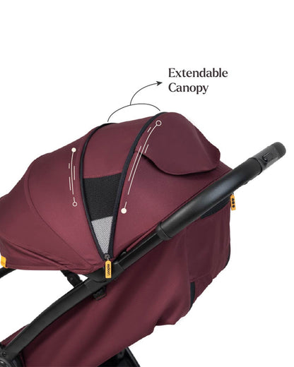 Loopie Hop Cabin Friendly Stroller-One Hand Fold-Flat Reclining Seat-Includes Mosquito Net-1 Year Warranty-For 0 to 4Y (Upto 22 Kg)-Mulberry Maroon