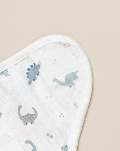 Twingle 100% Organic Muslin Velcro Nappy-Soft Absorbent Terry Layer-Mess Free Design-Helps Control 1-2 Leaks-Adjustable Velcro Fit-Aerospace & Dino Print-Pack of 2