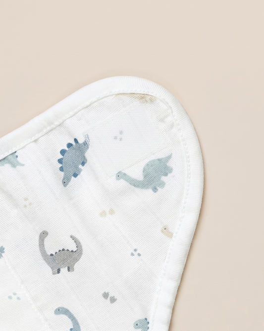 Twingle 100% Organic Muslin Velcro Nappy-Soft Absorbent Terry Layer-Mess Free Design-Helps Control 1-2 Leaks-Adjustable Velcro Fit-Aerospace & Dino Print-Pack of 2