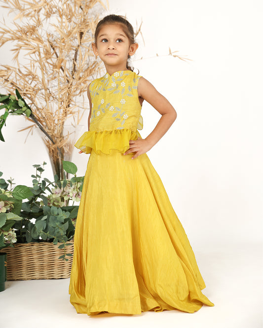 La Dee Da Yellow Lehenga Choli-Embroidered-Silk Blend-For Infants