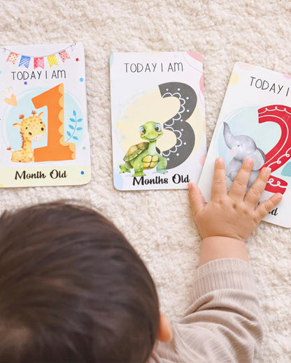 Babble Wrap Whimsical Baby Milestone Cards-30 Illustrated Cards For Newborn