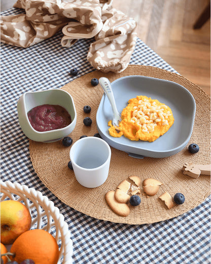 Beaba Silicone Baby Meal Set-100% Premium Food Grade Silicone with Suction Plate, Curved Bowl, Training Cup & Spoon-Pack of 4-Pebble-4M+