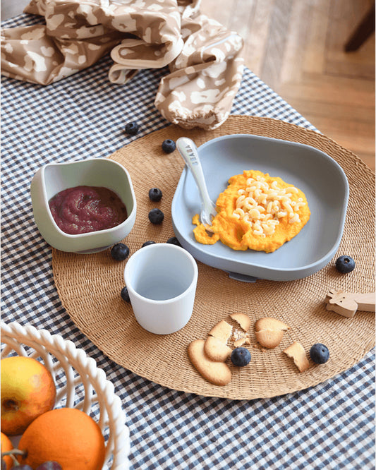 Beaba Silicone Baby Meal Set-100% Premium Food Grade Silicone with Suction Plate, Curved Bowl, Training Cup & Spoon-Pack of 4-Pebble-4M+