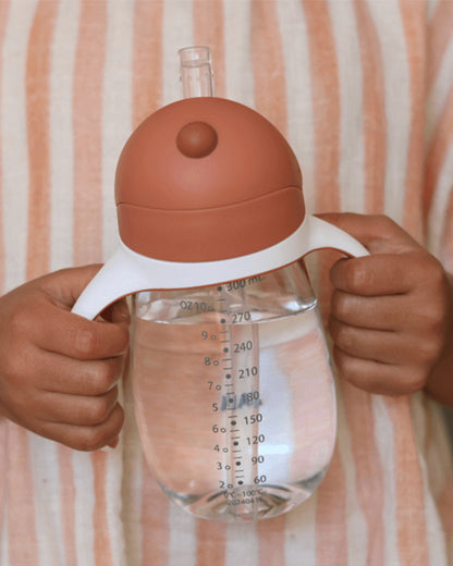 Beaba 2-in-1 Baby Straw Sipper-Anti-spill with Removeable Handles-100% Waterproof-Terracota-300ml-8M+