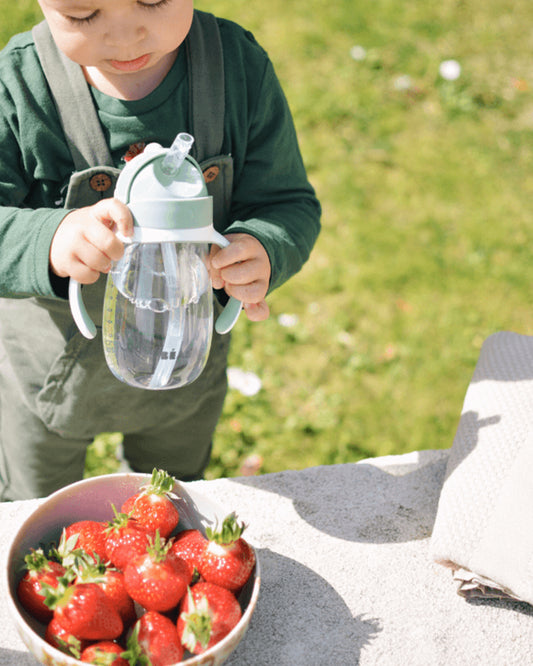 Beaba 2-in-1 Baby Straw Sipper-Anti-spill with Removeable Handles-100% Waterproof-Sage Green-300ml-8M+