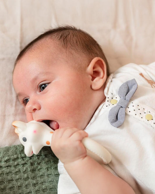 Sophie La Girafe So'pure Round Ring Teether-Made with 100% Natural Rubber-Easy to Grasp-For Infants