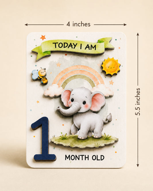 Babble Wrap Whimsical 3D Baby Milestone Cards-12 Illustrated Cards For Newborn