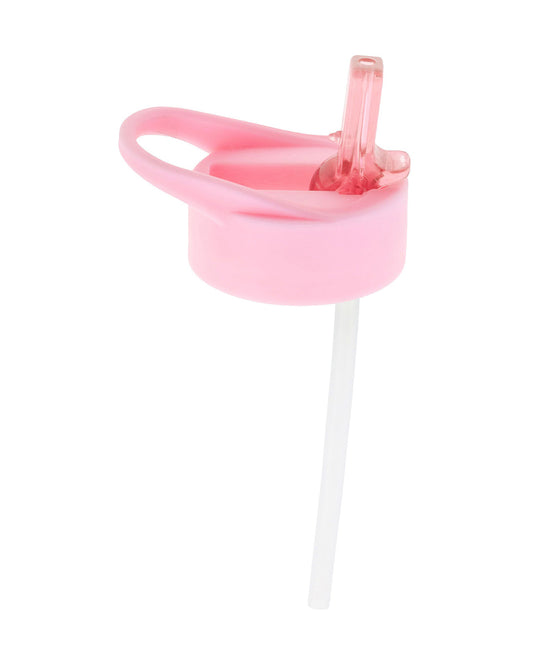 Stephen Joseph Stainless Steel Straw Sipper-With Flip Top Spout-Pink Dino-532 ml