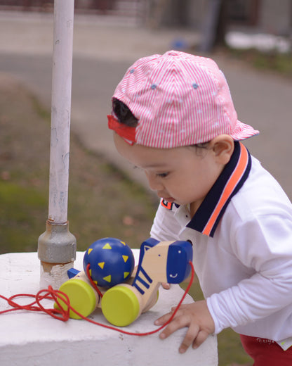 Shumee Zeebo-Smooth Edges & Lightweight-Develops Motor Skills-Non Toxic Material-Wooden Push & Pull Toy-9M+