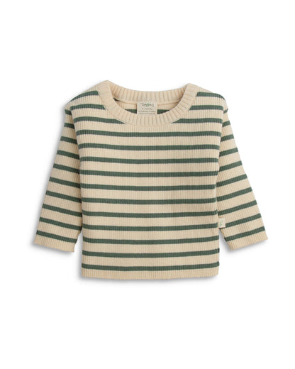 Tiny Twig Brown Agave Stripes T-Shirt-Organic Cotton-For Infants