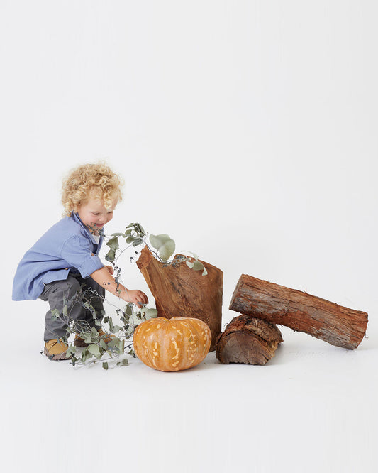 Tiny Twig Tempest Solid Shirt-Organic Cotton-For Infants