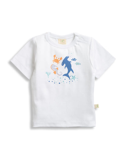 Tiny Twig White Shoreside T-shirt-Organic Cotton-For Infants